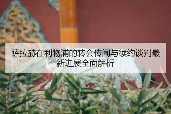 萨拉赫在利物浦的转会传闻与续约谈判最新进展全面解析